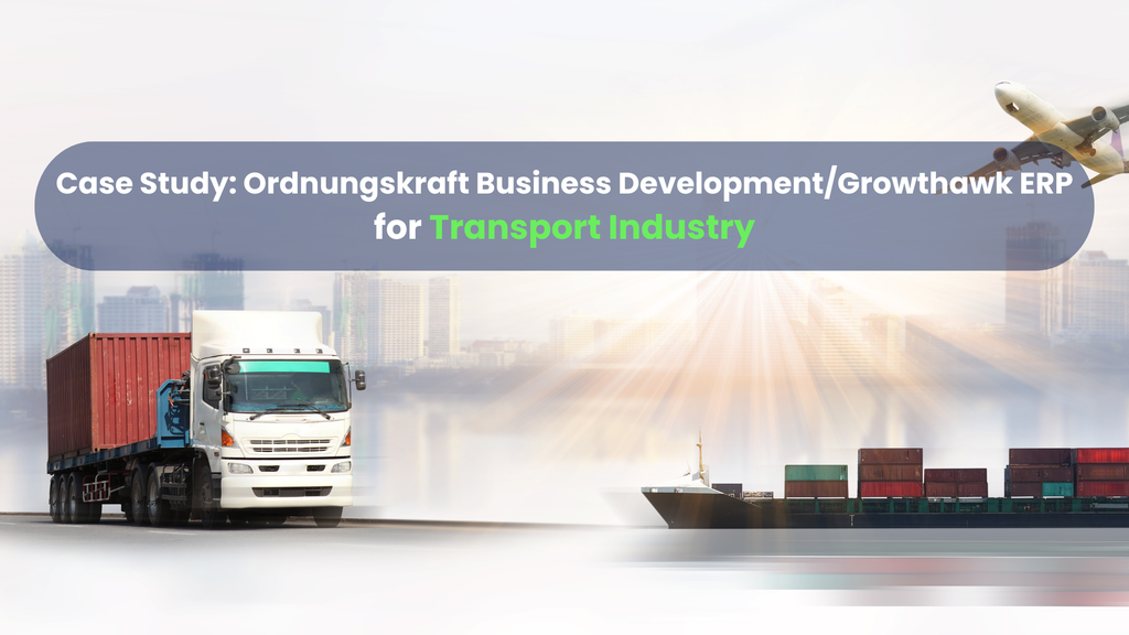 ERP-consulting